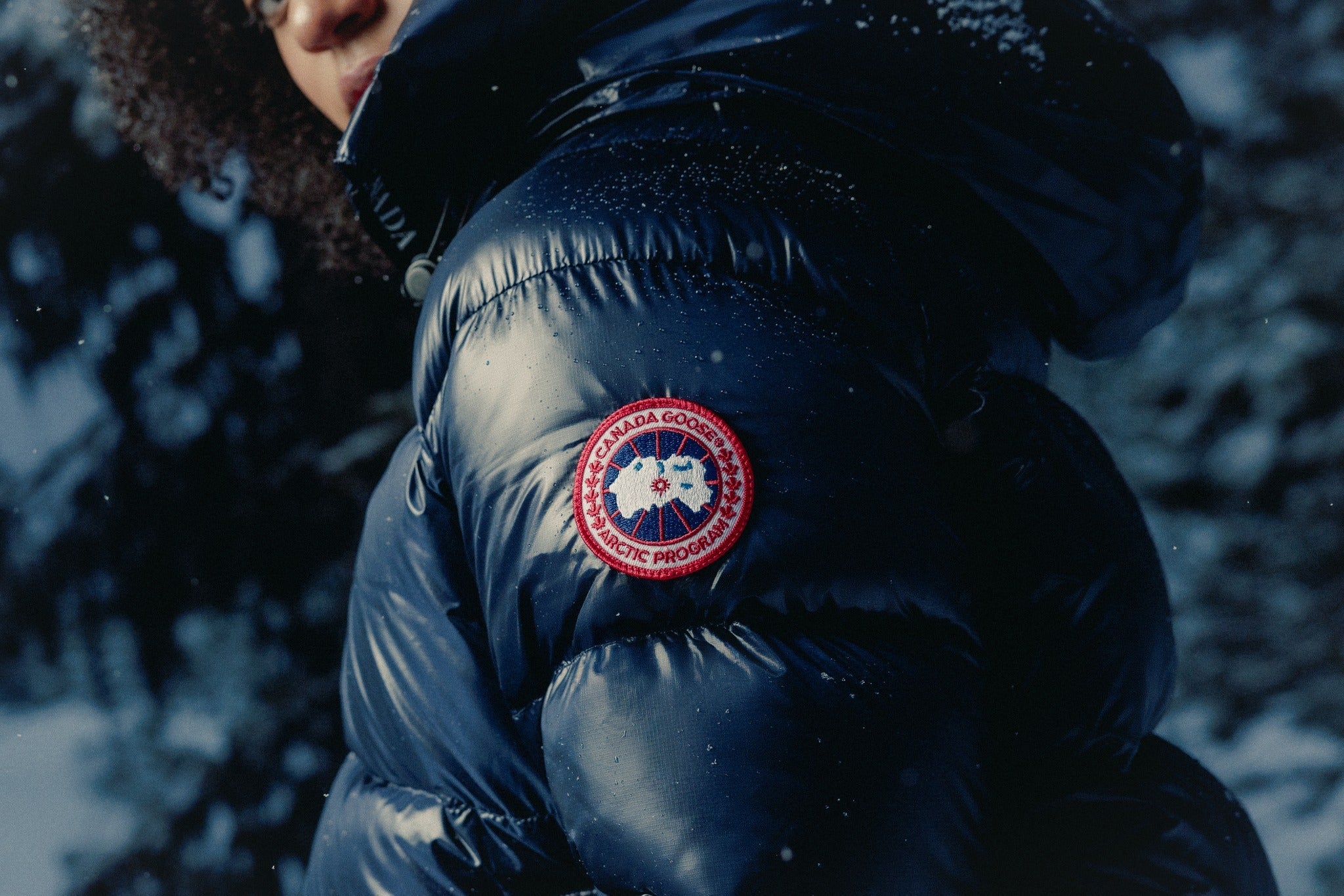 Canada Goose