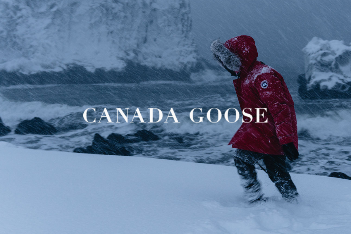 Canada Goose