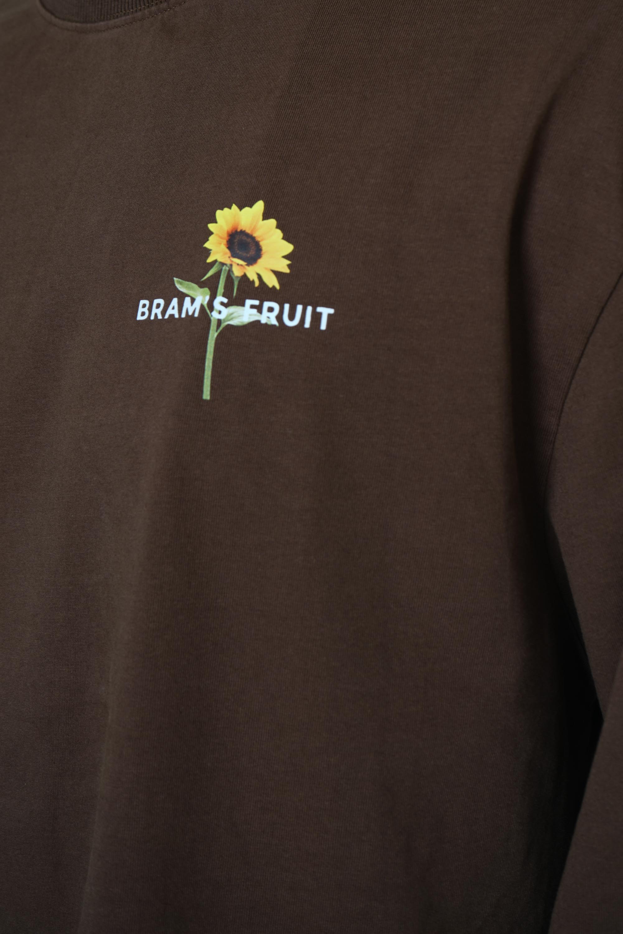 Bram's Fruit Sunflower Longsleeve – Brown