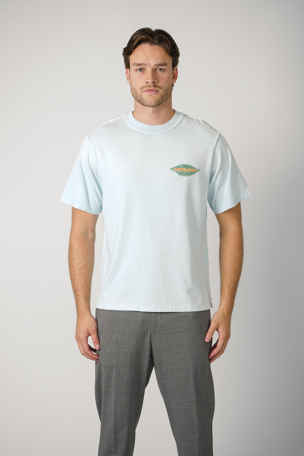 Bram's Fruit Distressed Leaf T-shirt Blueberry Blue