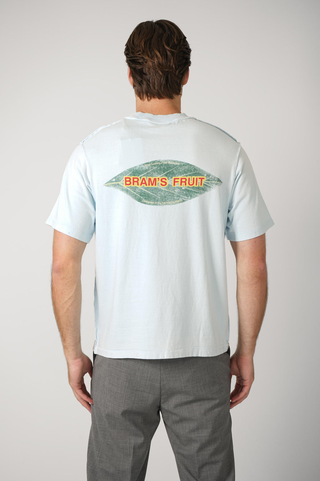 Bram's Fruit Distressed Leaf T-shirt Blueberry Blue