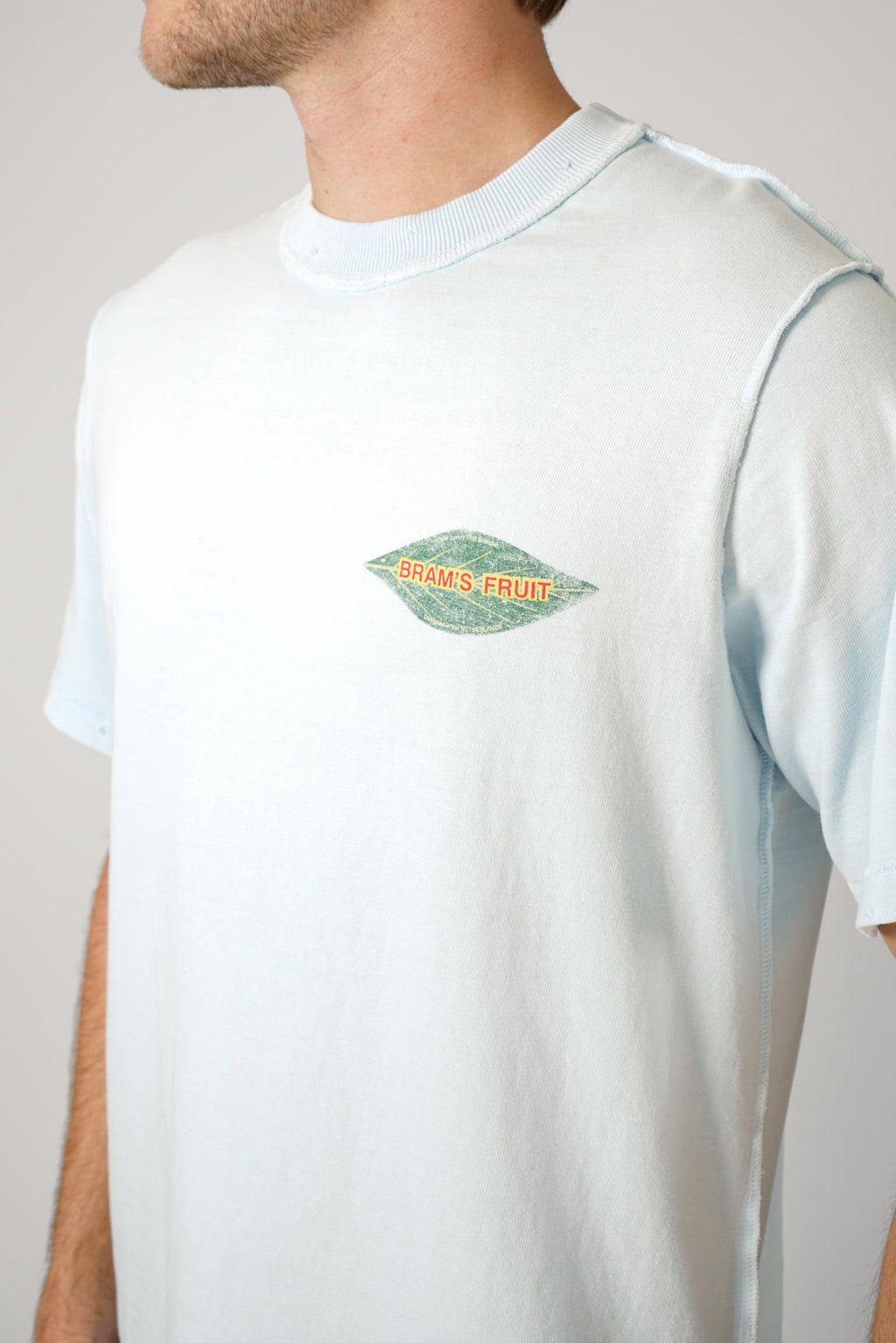 Bram's Fruit Distressed Leaf T-shirt Blueberry Blue