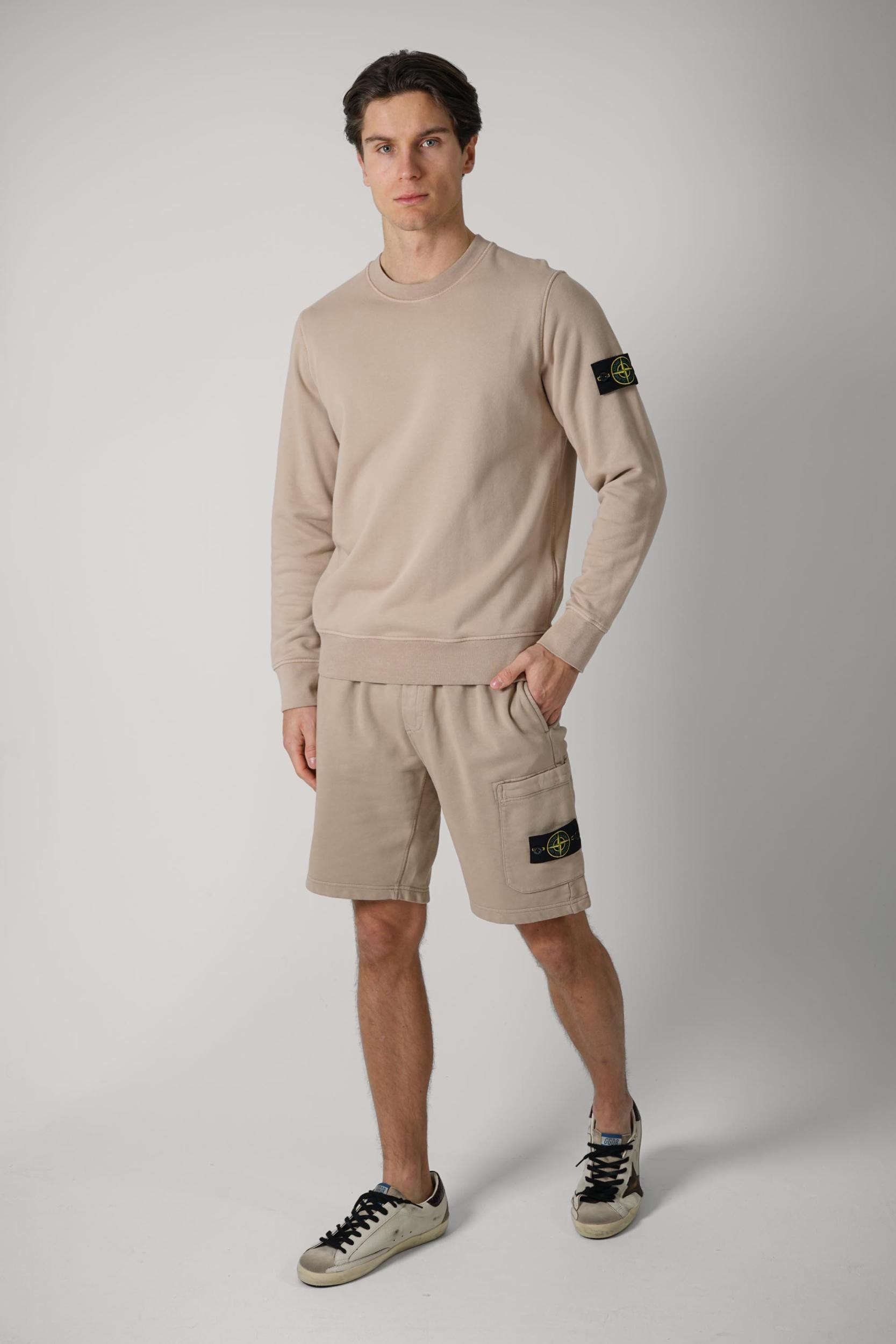 6100061 Stone Island Basic Crewneck Desert