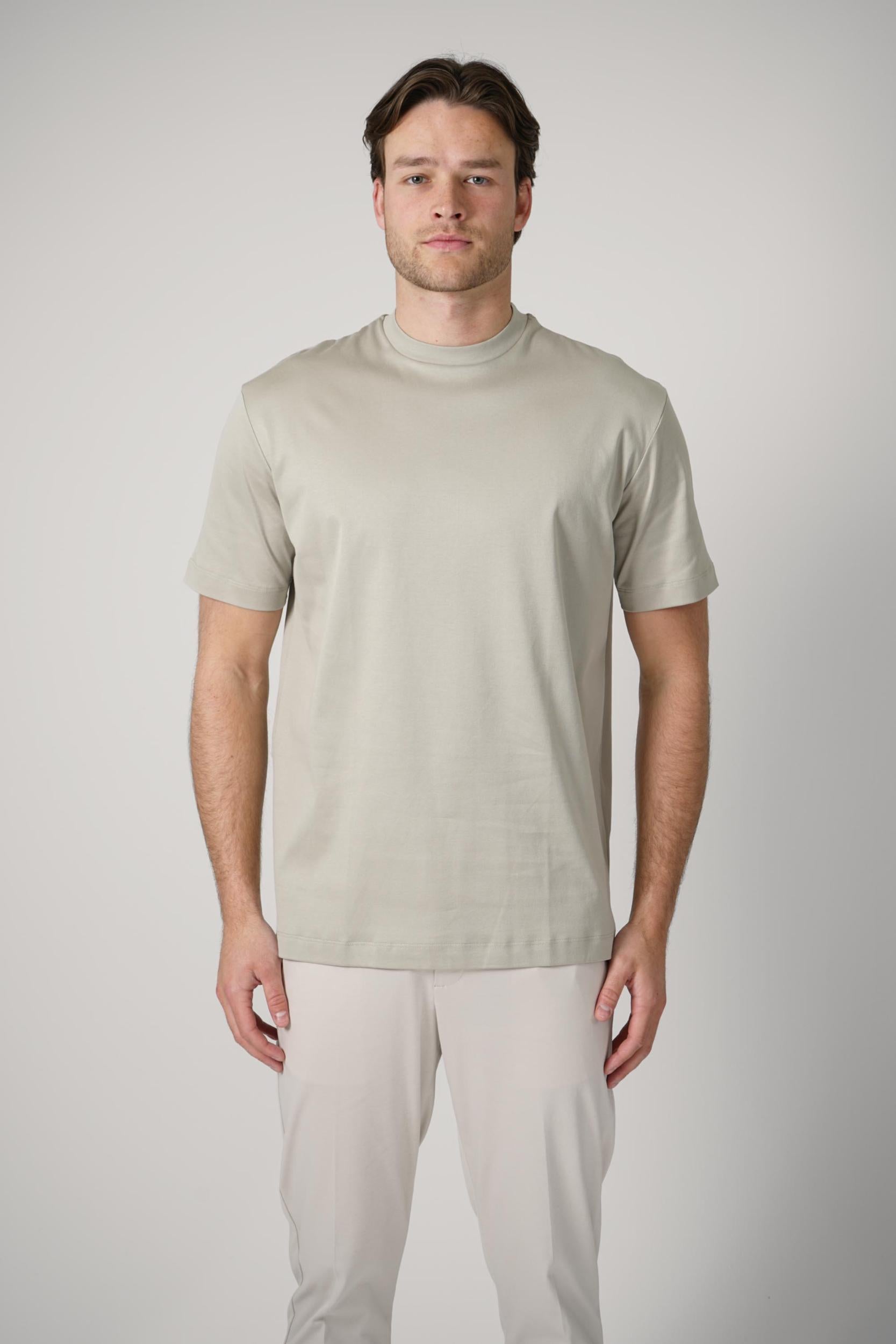 Valenza Slim Fit Supima T-Shirt Stone